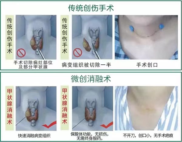 image005.jpg image005.jpg