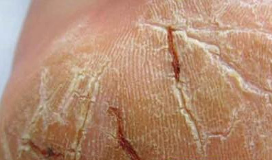 b357ff74-f61f-4702-a643-932dd0de1f7f.jpg b357ff74-f61f-4702-a643-932dd0de1f7f.jpg