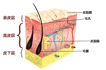 bd0ecf67797a5648a7e9b665ce12a42c2c3c2537138e8-dQ7C8y_fw658.webp.jpg bd0ecf67797a5648a7e9b665ce12a42c2c3c2537138e8-dQ7C8y_fw658.webp.jpg