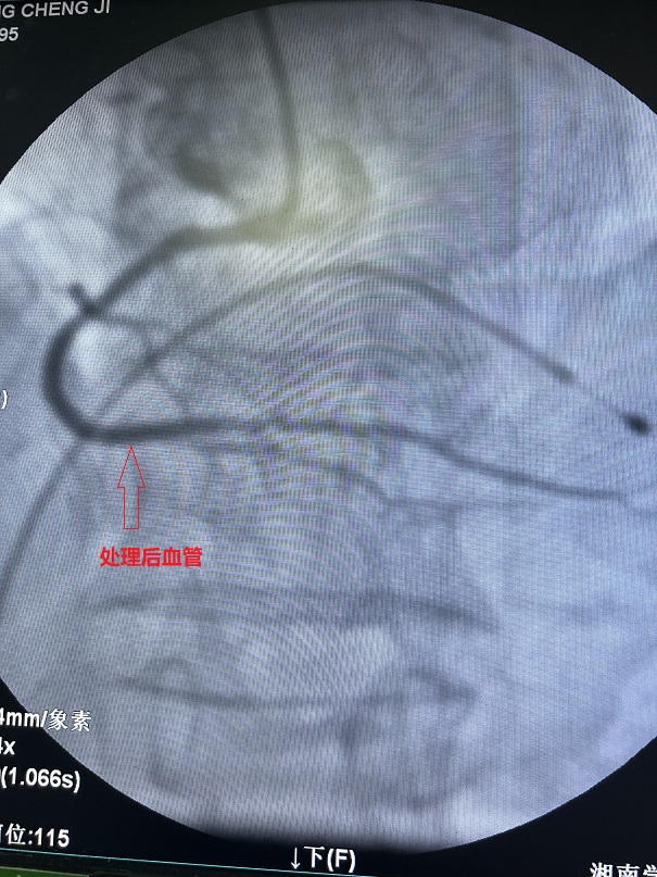 image005.jpg image005.jpg