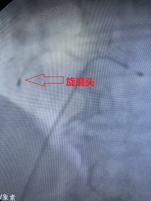 image003.jpg image003.jpg