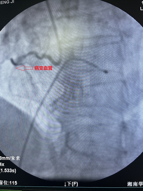 image001.jpg image001.jpg