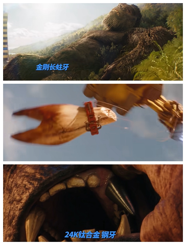 image003.jpg image003.jpg