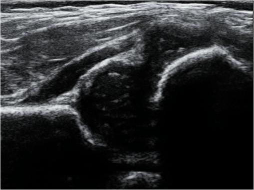 image005.jpg image005.jpg