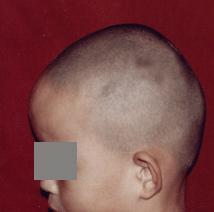 image005.jpg image005.jpg