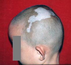 image001.jpg image001.jpg