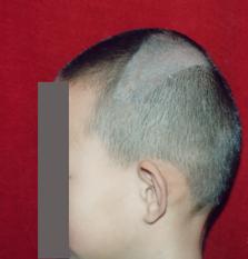 image003.jpg image003.jpg