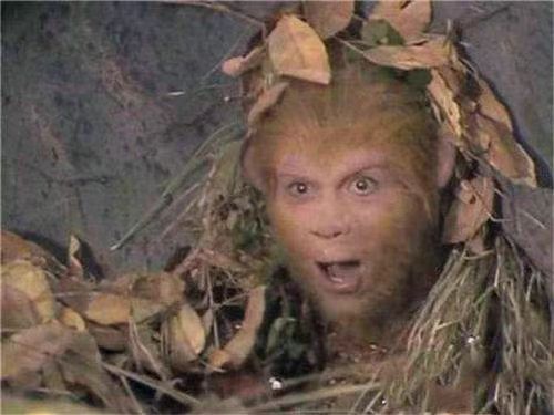 微信图片_20241011162426.jpg 微信图片_20241011162426.jpg