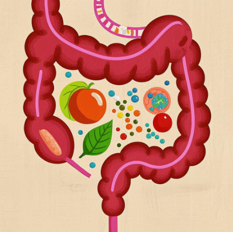 QQ20250122-103207.png QQ20250122-103207.png