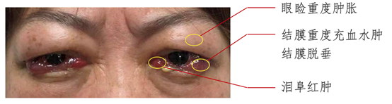 image006.png image006.png