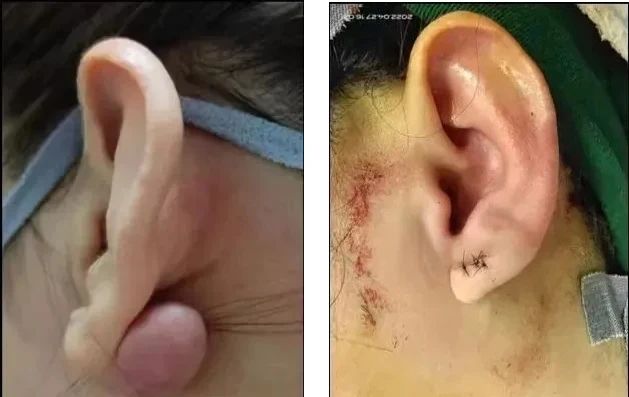 image011.jpg image011.jpg