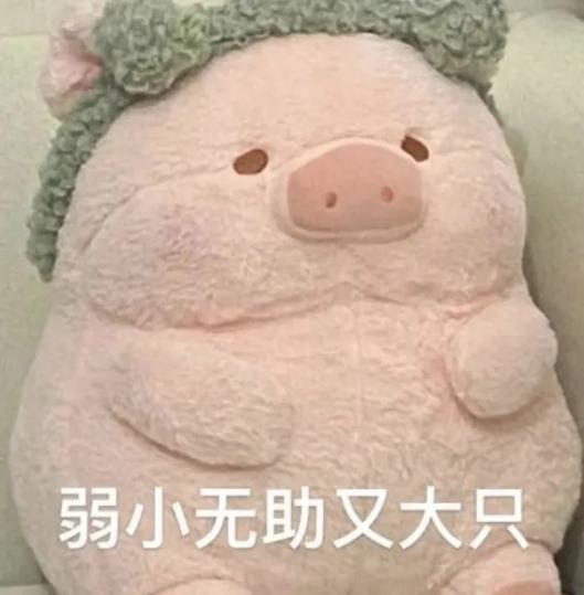 image005.jpg image005.jpg