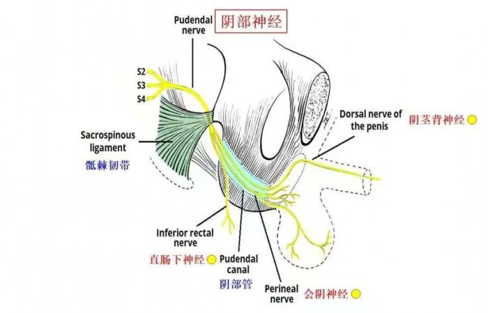 两年“痛魔”纠缠不休，三甲医院为“难言之隐”松绑1 (2).jpg