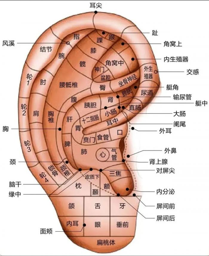 复苏室里的“小秘密”——耳穴疗法1 (2).jpg